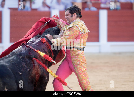 Corrida de Toros. Foto Tomada de la Plaza de Toros de Gijón. Feria Nuestra Señora de Begoña Stockfoto