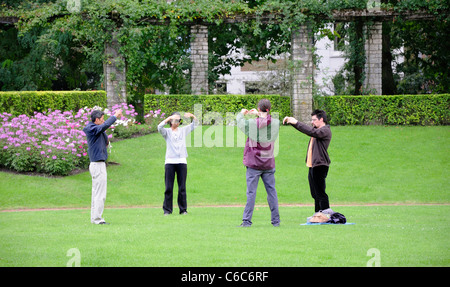 Ghent / Gent, Belgien. Citadelpark. Tai Chi Stockfoto