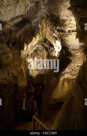 Touristen in die Stalaktiten und Stalagmiten in den Höhlen von Han-Sur-Lesse / Grottes de Han, belgische Ardennen, Belgien Stockfoto