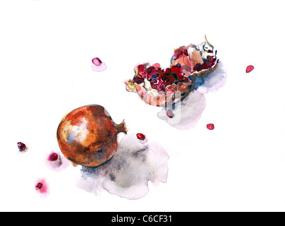 Granatapfel gesundheitliche Vorteile. Papier. Aquarell. Künstler - Tanya Kazantseva, Belarus, Minsk. Erstellungsdatum - 2009 Stockfoto