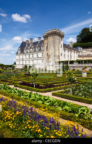 Villandry Schloss und Gärten, Loire-Tal, Indre et Loire, Frankreich, Europa Stockfoto