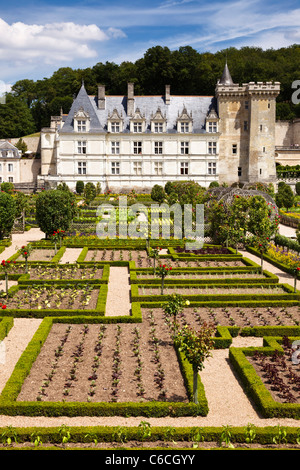 Villandry, Loiretal, Frankreich, Europa Stockfoto