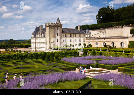 Loire-Tal - Chateau de Villandry aus dem Kräutergarten, Indre et Loire, Frankreich, Europa Stockfoto