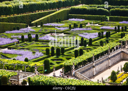 Blick über den Kräutergarten in Villandry, Indre et Loire, Frankreich, Europa Stockfoto