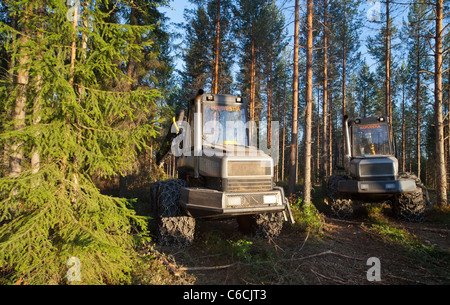 Ponsse Ergo und Bison Waldernter im Taigawald, Finnland Stockfoto