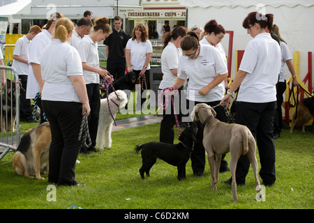 Southport Flower Show   Menschen und Ereignisse 2011, Victoria Park, Southport, Merseyside, England Stockfoto