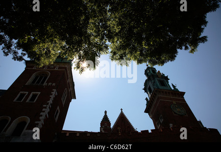 Das Schloss Wawel Krakau Polen Stockfoto