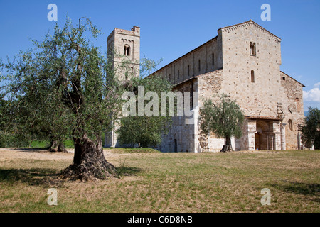 Abbazia Sant'Antimo, Sant'Antimo Abtei, Toskana, Italien Stockfoto