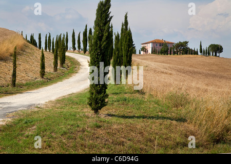 Hof und Haus auf dem Hügel, Landschaft in der Nähe von Pienza, Toskana, Italien Stockfoto