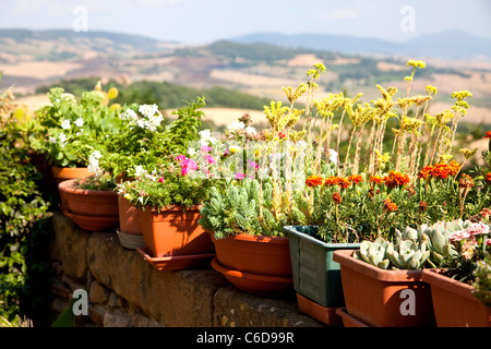 Töpfe mit Blumen und Pflanzen, Pienza, Toskana, Italien Stockfoto