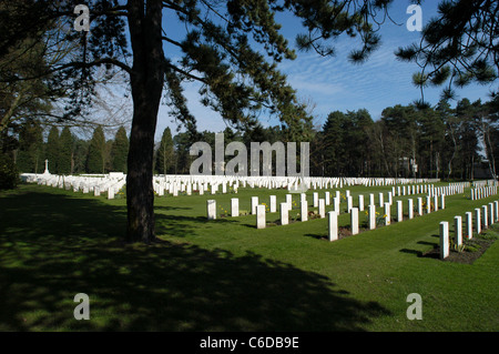 Brookwood Militärfriedhof, Surrey, England. Verwaltet von der Commonwealth War Graves Commission, gefunden. Stockfoto