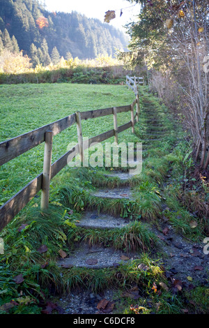 Mit Graesern Bewachsene Treppe am Fluss Ziller, Mayrhofen, überwucherten Schritte am Fluss Ziller, Stockfoto