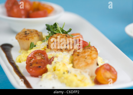 Safran-Risotto mit gegrillten Jakobsmuscheln und Cherry-Tomaten-sauce Stockfoto