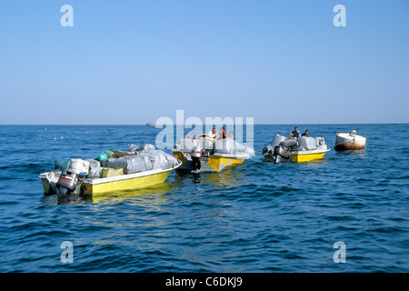 Schmuggler auf dem Weg zurück aus Oman, Iran, überlastet, Motorboote, smuggeling waren in Iran, Khasab, Musandam, Oman Stockfoto