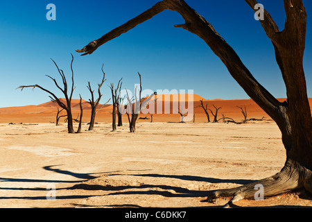 berühmte Dead Vlei mit toten Bäumen im ausgetrockneten Salzsee, Wüstenlandschaft der Namib im Sossusvlei, Namib-Naukluft-Nationalpark Namibia Stockfoto