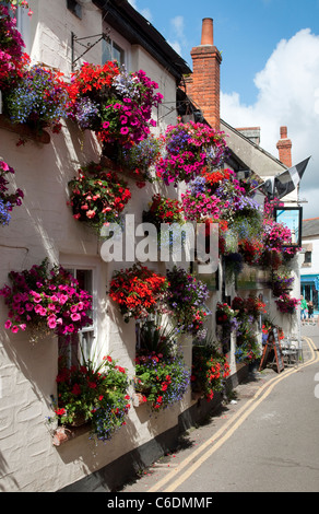 Schöne Blütenpracht in hängenden Körben und Blumenkästen vor einem Pub in Padstow, Cornwall, England. Stockfoto