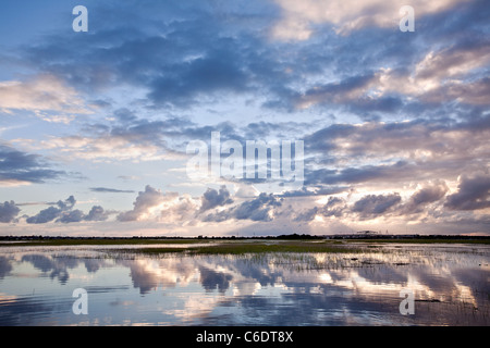 Blick über den Sumpf in der Nähe von Sullivans Island, South Carolina bei Sonnenuntergang während der Flut. Stockfoto