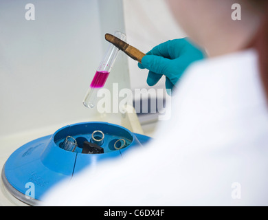 Chemie-Laborantin, Mülheim ein der Ruhr, Deutschland Stockfoto