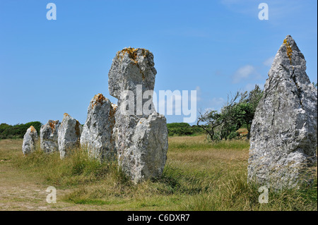 Neolithische Alignements de Lagatjar Steinen Stein Ausrichtung der megalithischen stehen bei Camaret-Sur-Mer, Bretagne, Finistère, Frankreich Stockfoto