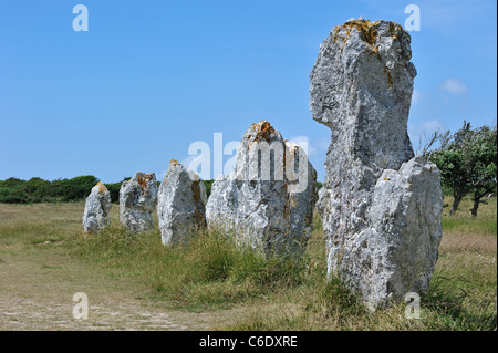 Neolithische Alignements de Lagatjar Steinen Stein Ausrichtung der megalithischen stehen bei Camaret-Sur-Mer, Bretagne, Finistère, Frankreich Stockfoto