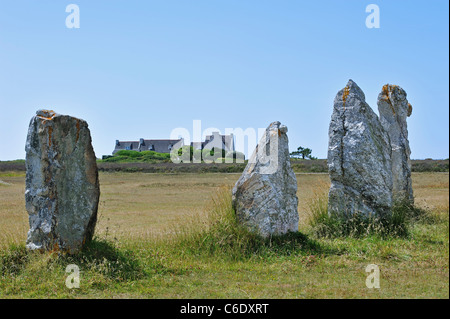 Neolithische Alignements de Lagatjar Steinen Stein Ausrichtung der megalithischen stehen bei Camaret-Sur-Mer, Bretagne, Finistère, Frankreich Stockfoto