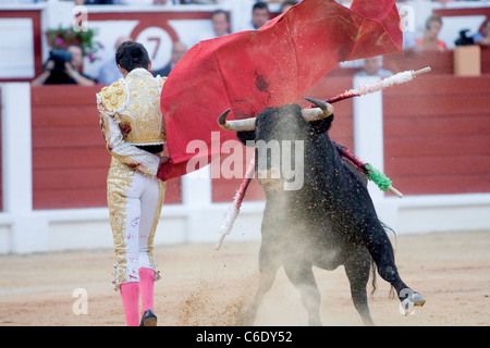 Corrida de Toros. Foto Tomada de la Plaza de Toros de Gijón. Feria Nuestra Señora de Begoña Stockfoto