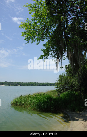 Lake Wauberg in Paynes Prairie Preserve State Park in der Nähe von Micanopy Florida USA Stockfoto