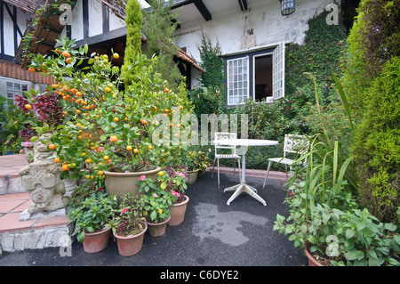 Garten des Hotels alte Räucherkammer, Brinchang, Cameron Highlands, Malaysia, Südostasien, Asien Stockfoto