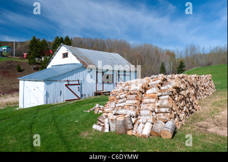 Holz Stapel und Scheune, in der Nähe von Port-au-Persil, Region Charlevoix, Provinz Quebec, Kanada. Stockfoto