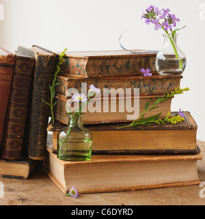 Blumen auf alte Bücher Stockfoto
