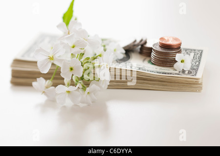 Blumen und Münzen auf Haufen von Dollarnoten Stockfoto