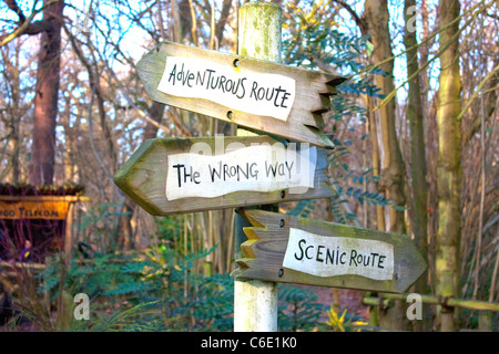 Zeichen mit Entscheidungen in Richtung im Wald Stockfoto