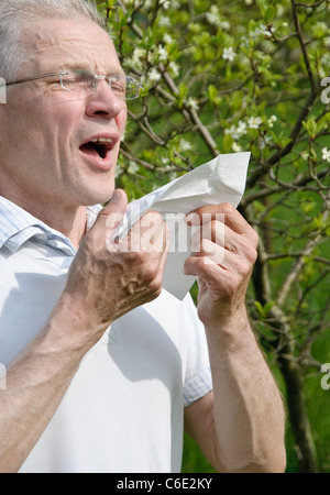 Niesen Mann mit Taschentuch, Heuschnupfen, Allergien Stockfoto