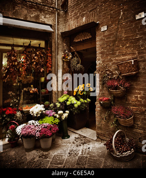 Schönes Blumengeschäft in einer kleinen toskanischen Stadt, Italien Stockfoto