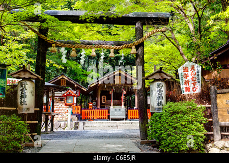 Torii-Tor Eingang zum Shinto-Nonomiya-Schrein im Wald bei Arashiyama, Kyoto. Kulturell wichtig, es wurde in der "Geschichte von Genji". Stockfoto