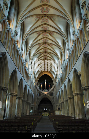 Ein Blick auf das Dach und die Schere wölbt sich in der Kathedrale von Wells UK Stockfoto