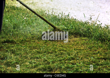 Close-up Rasenmäher Triming Rasen in der Nähe einer Straße. Stockfoto