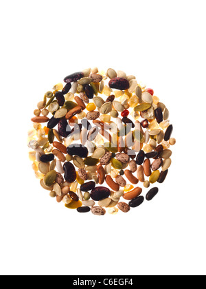 Studioaufnahme von gemischten Samen auf weißem Hintergrund Stockfoto