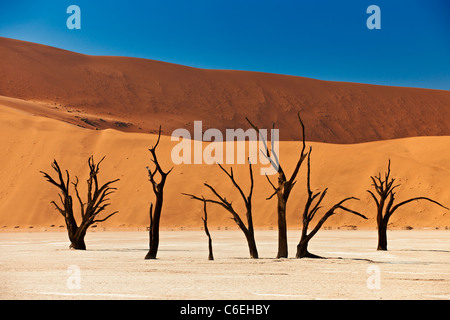 berühmte Deadvlei mit toten Bäumen im ausgetrockneten Salzsee, der Wüste Landschaft der Namib im Sossusvlei, Namib-Naukluft-Nationalpark, Namibia Stockfoto