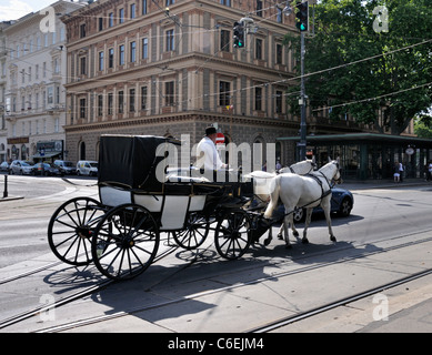 Pferd und Wagen auf den Straßen von Wien, Austria, Europe Stockfoto