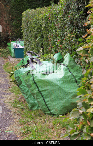 Grüner Garten Müllbeutel und recycling-Boxen warten Sammlung Stockfoto