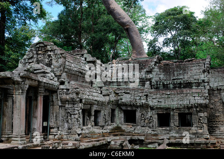 TA Phrom Mahayana buddhistischen Kloster und Universität komplexe Tempelruinen in Seide Baumwolle bedeckt Baum Wurzeln Kambodscha Stockfoto