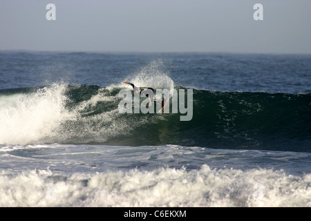 Surfer auf einer Welle in den kalten Gewässern des Biobio Chile. Stockfoto