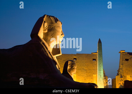 Der Mensch leitete Sphinxen, Obelisk und ersten Pylon in Luxor-Tempel in Luxor, Ägypten Stockfoto