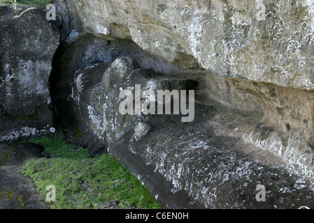 Unvollendete liegend Moai Statuen noch eingebettet in den Berg am Rano Raraku, die Moai-Steinbruch. Rapa Nui, Osterinsel. Stockfoto