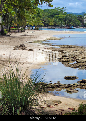 Costa Rica Strand Küste an der karibischen Küste in Puerto Viejo de Talamanca, Mittelamerika Stockfoto