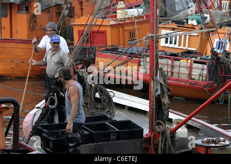 Fischer, immer bereit, ihren Fang zu entlasten. Stockfoto