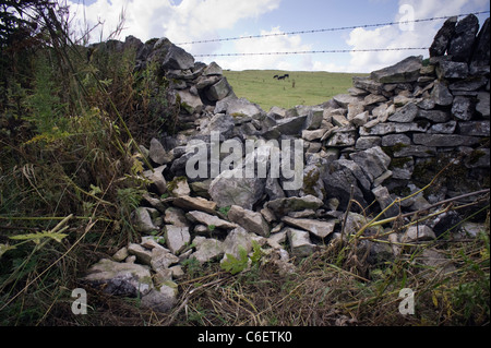 Reduzierte Trockenmauer Stockfoto