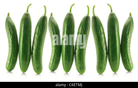 Reihe von libanesischen Gurken Stockfoto