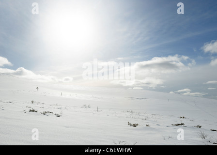 Schneelandschaft in Saariselkä, finnische Lappland Stockfoto